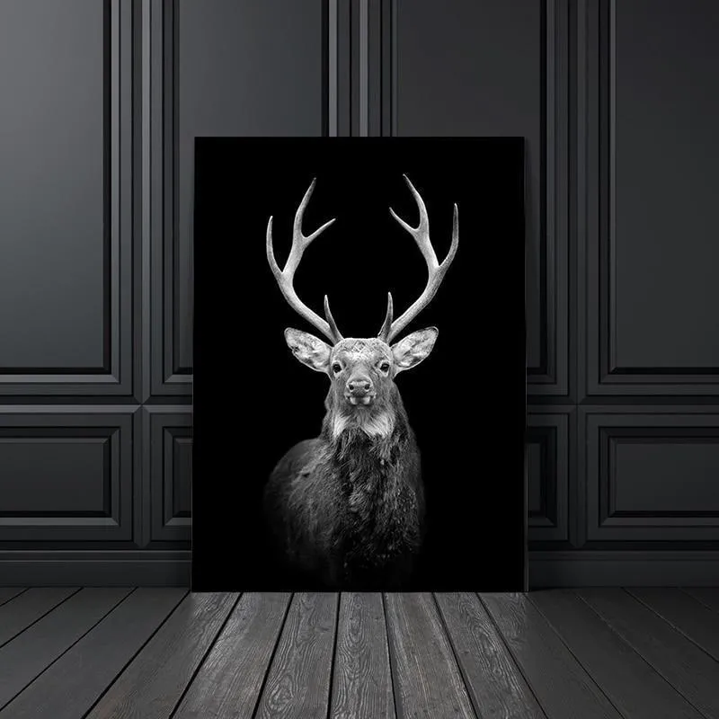 Animals Wall Art Prints