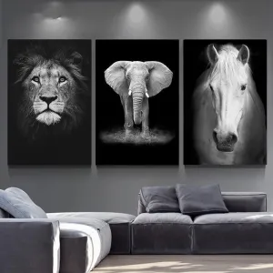 Animals Wall Art Prints