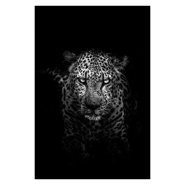 Animals Wall Art Prints