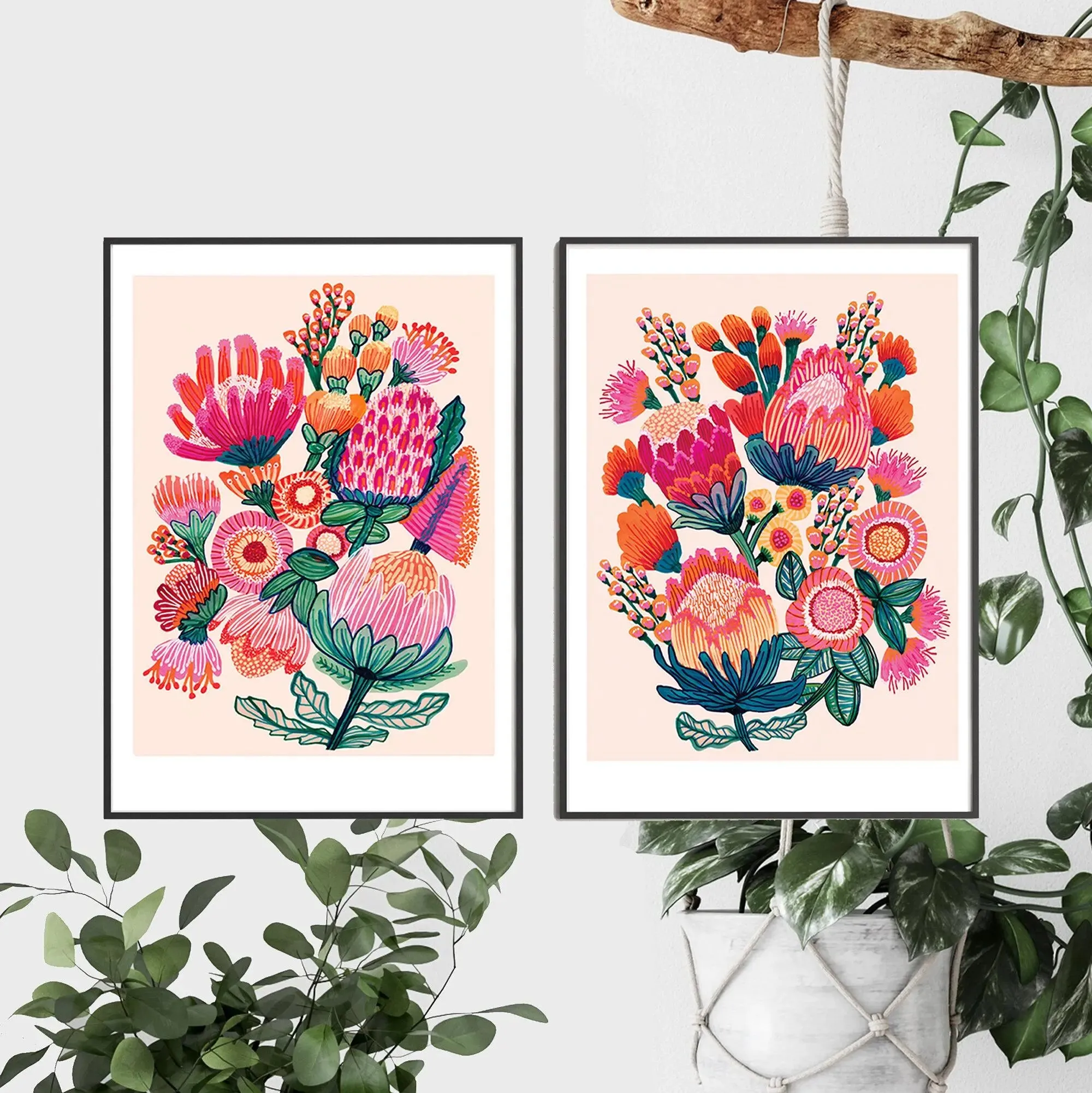 Australian Flowers Wall Art Prints