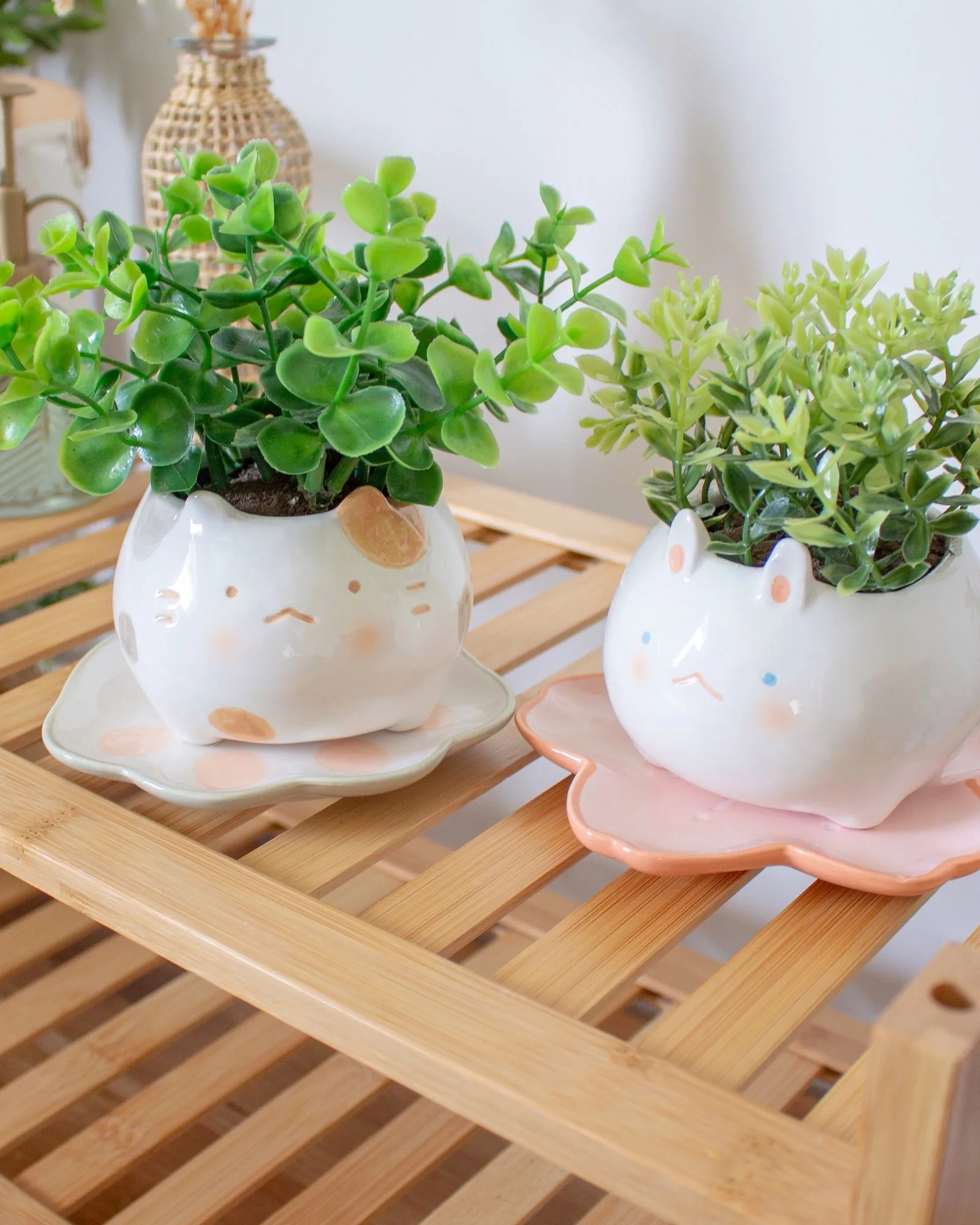 Axolotl planter