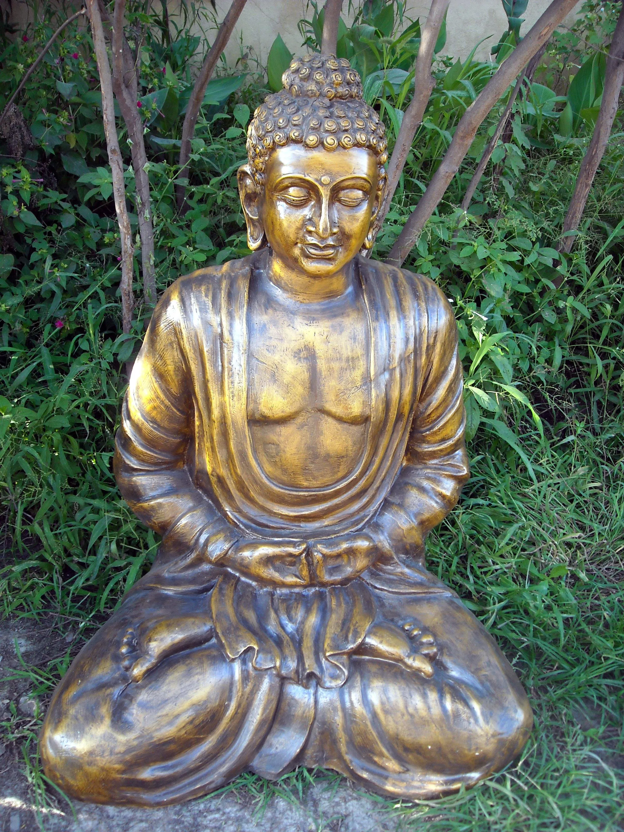 Budhha Sitting