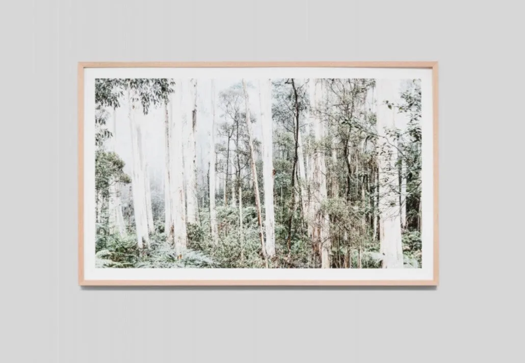 Bushland | Framed Print