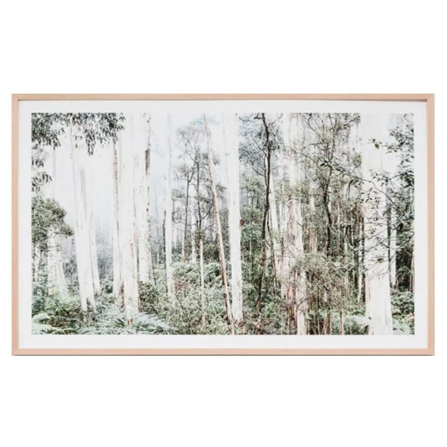 Bushland | Framed Print