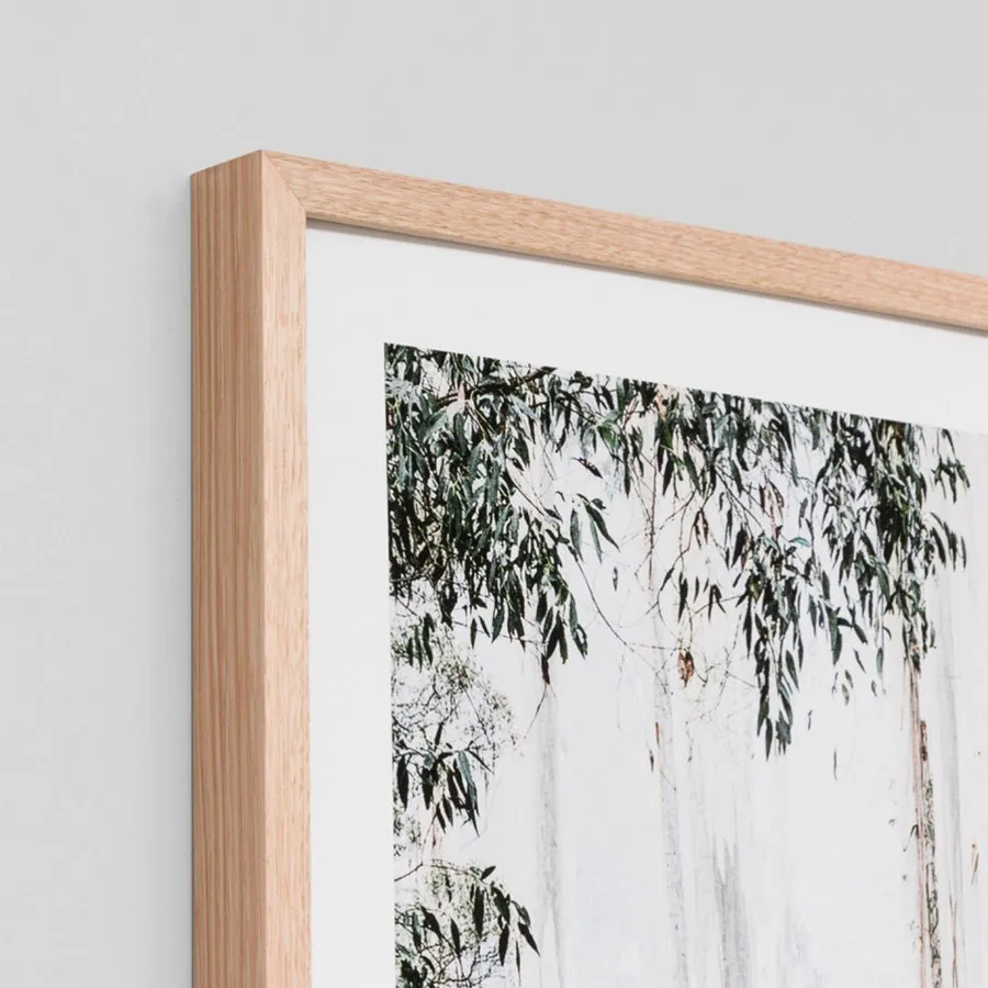 Bushland | Framed Print