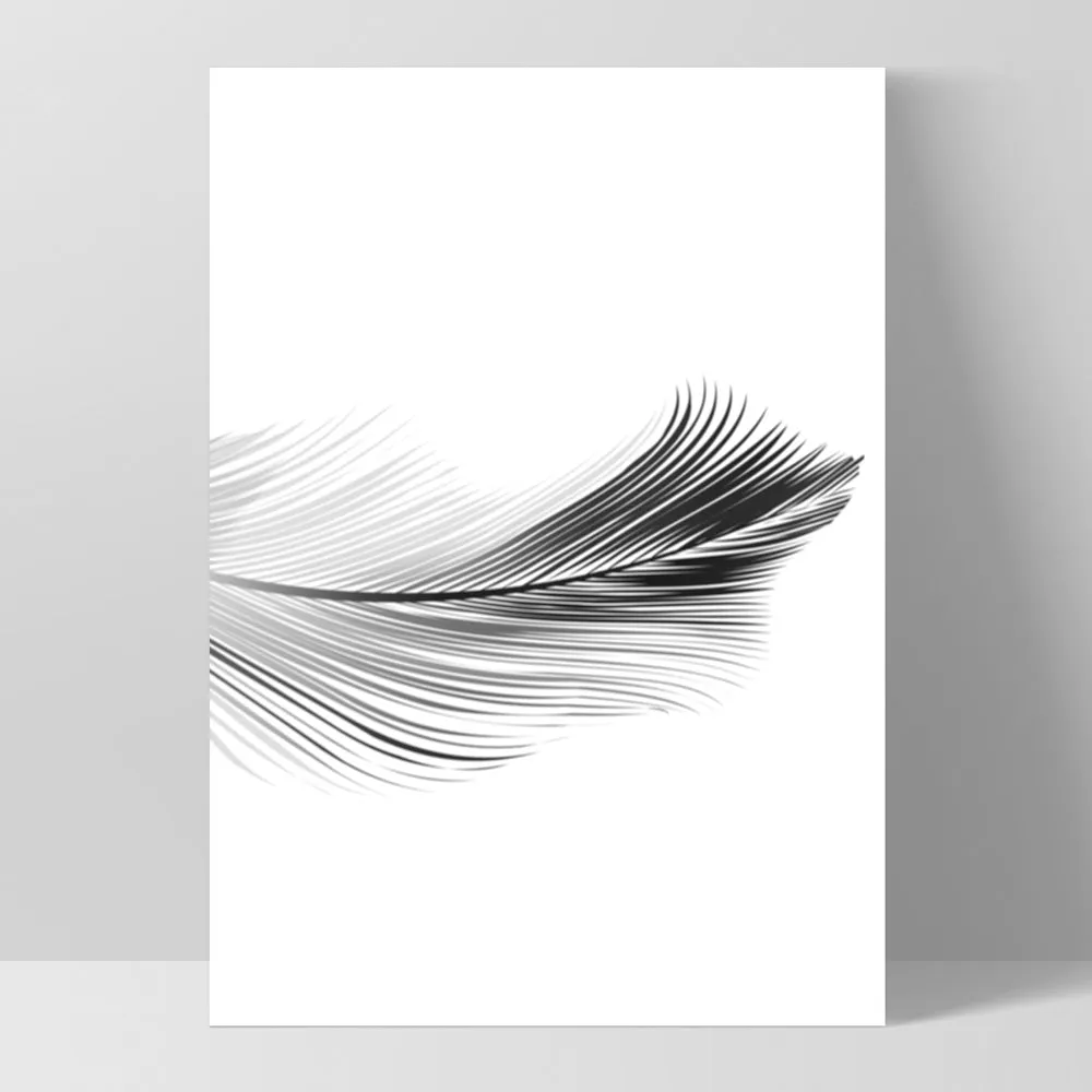 Feather Black & White II - Art Print