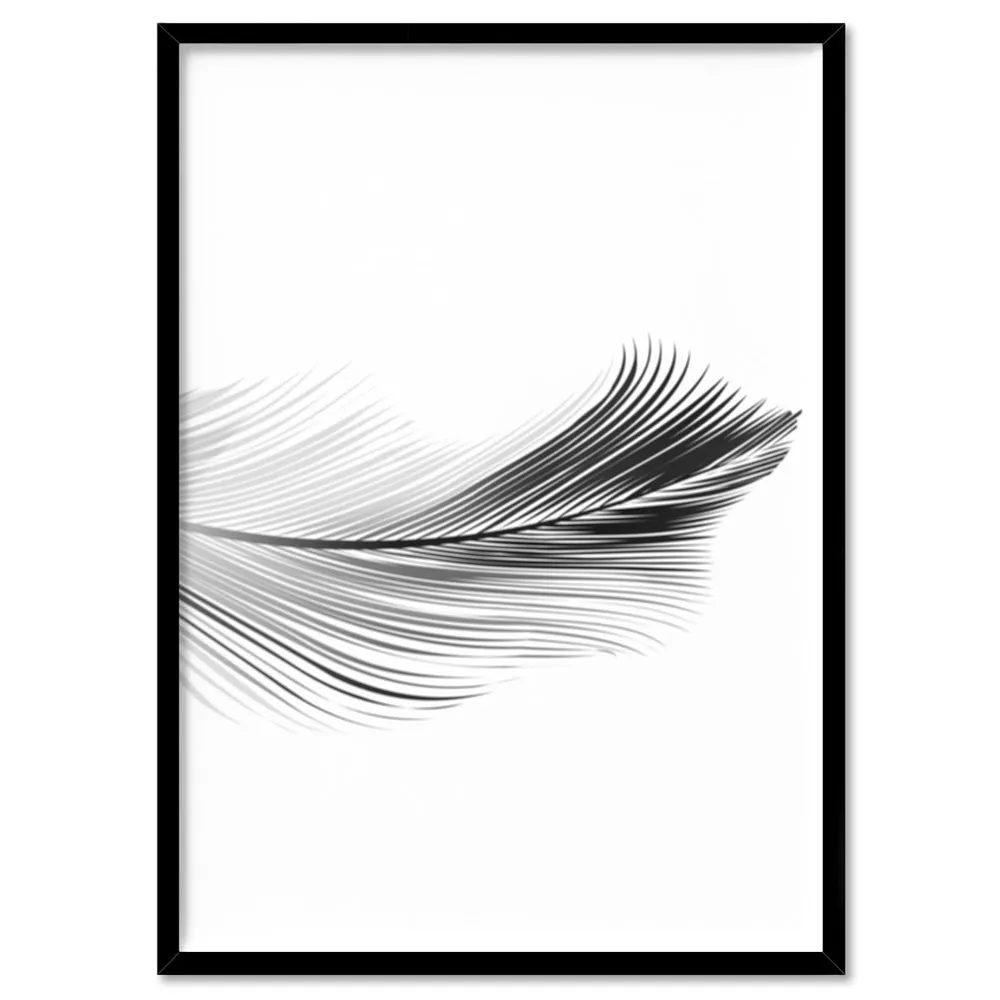 Feather Black & White II - Art Print