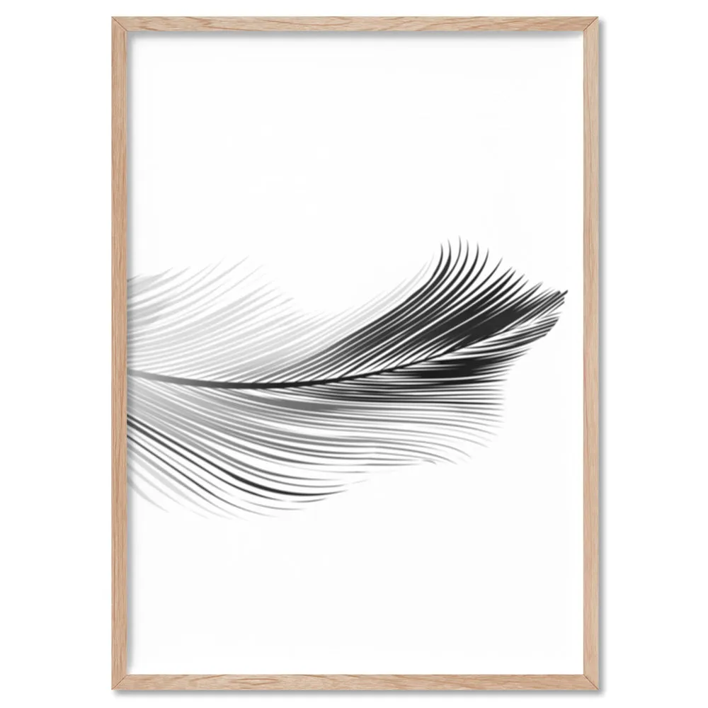 Feather Black & White II - Art Print