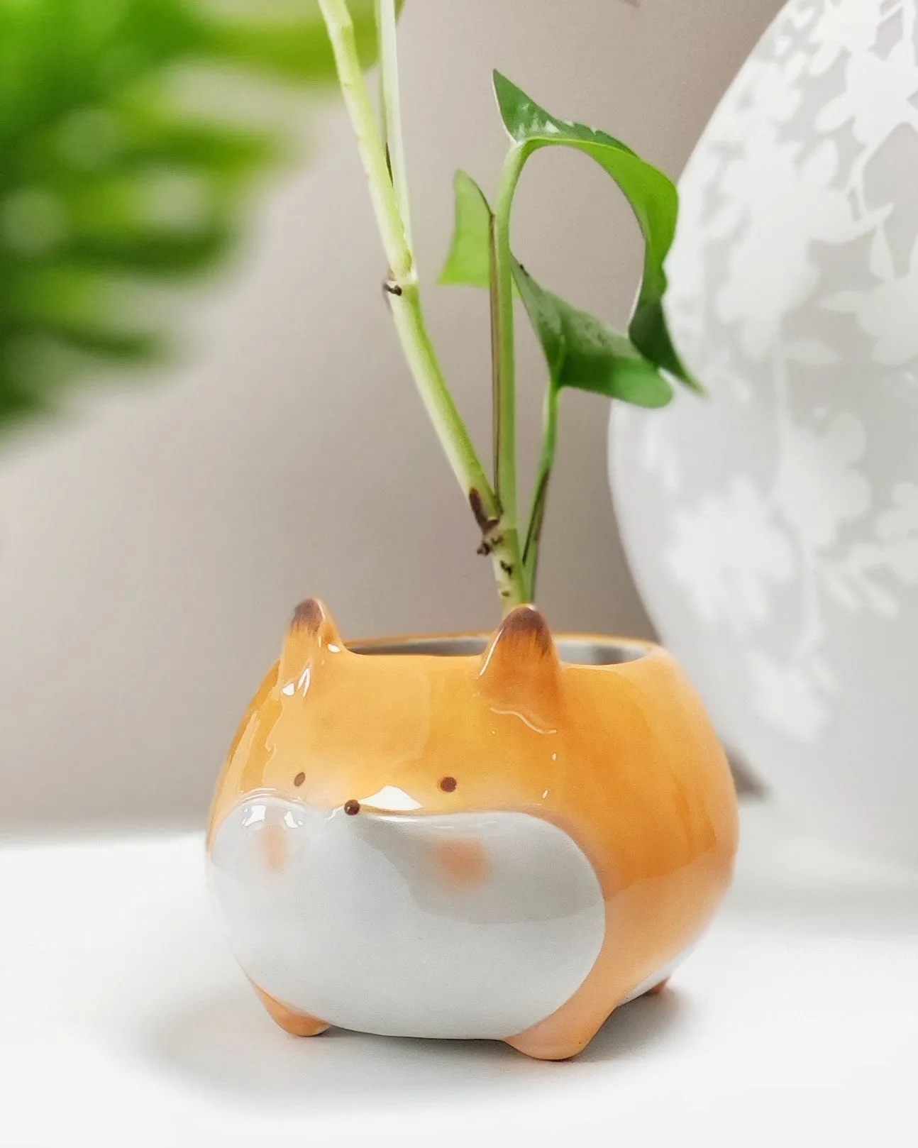 Fox planter