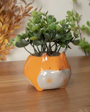 Fox planter