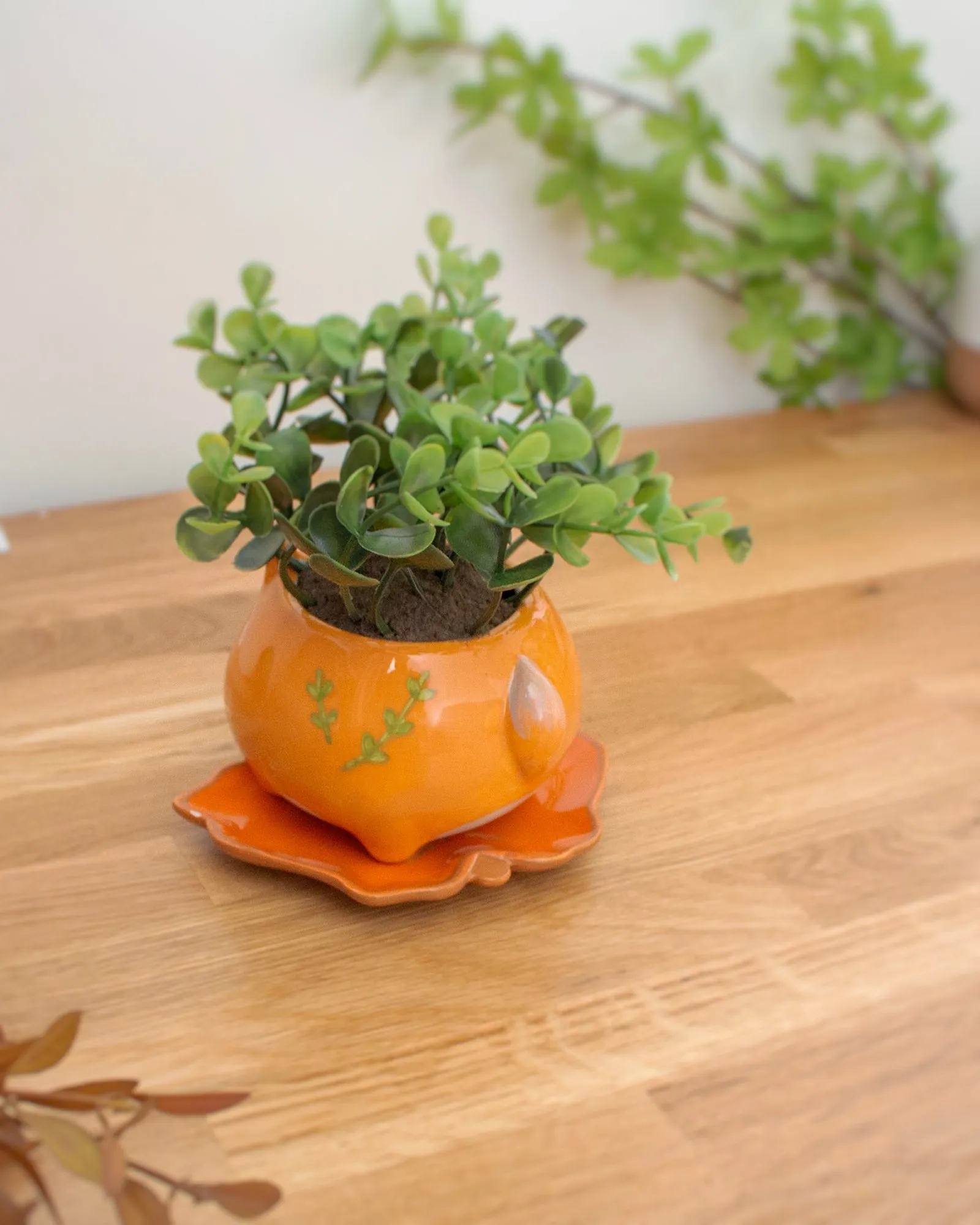 Fox planter