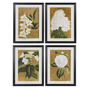 Framed Set of Four White Florals Wall Art 60cm