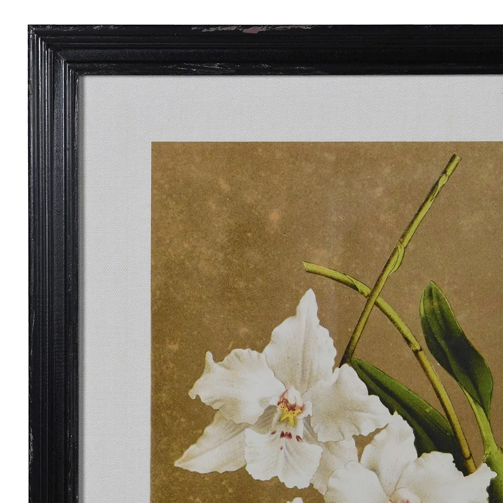 Framed Set of Four White Florals Wall Art 60cm