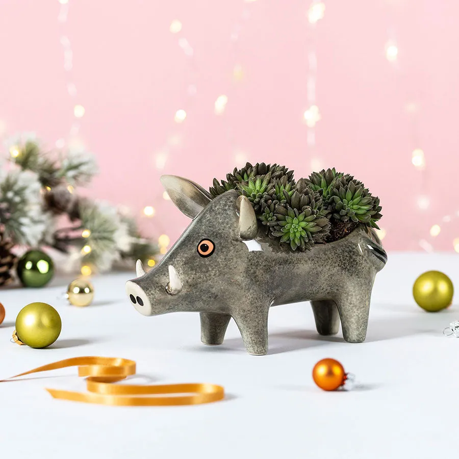 Handmade Ceramic Wild Boar Planter