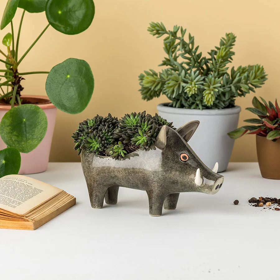 Handmade Ceramic Wild Boar Planter