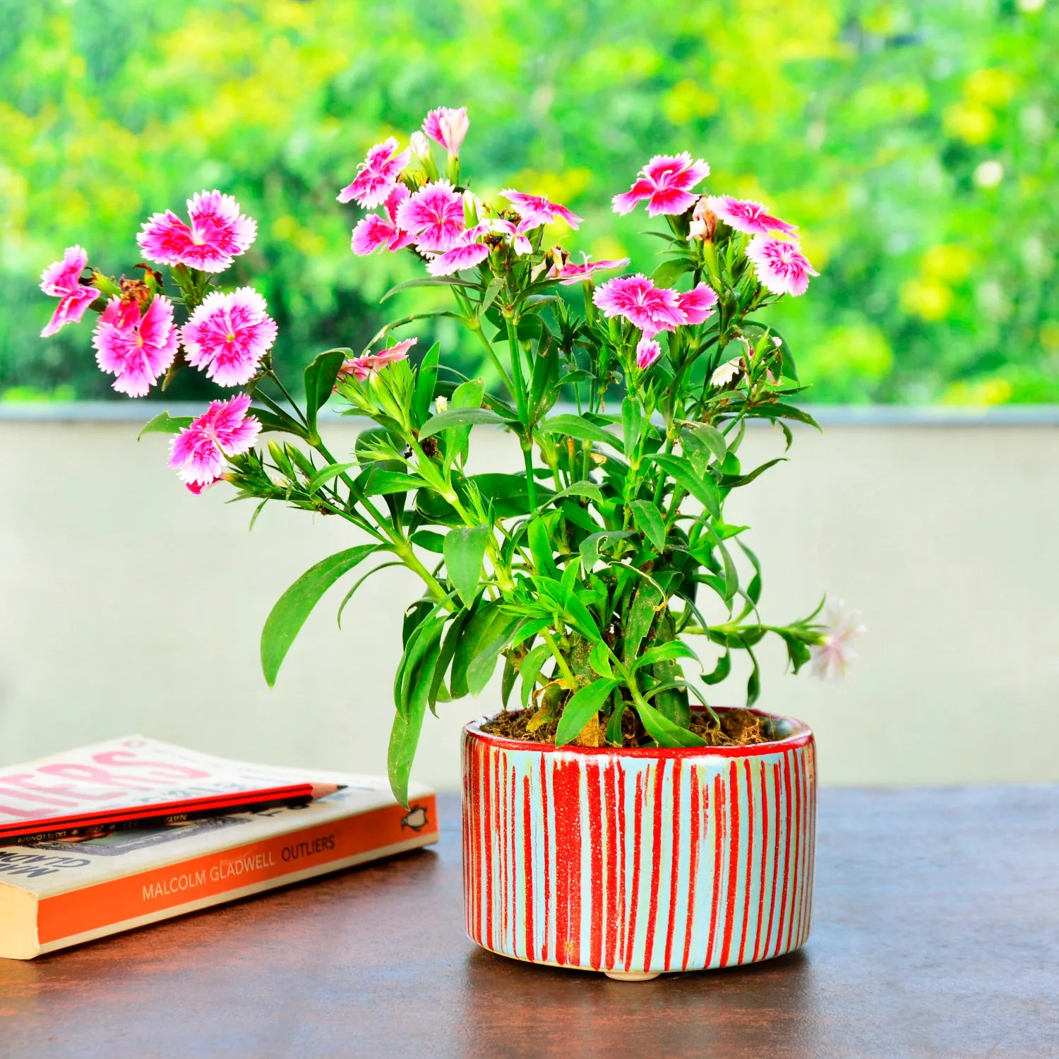 Handpainted Ceramic Round Striped Planter Pot (Blue and Red, Diameter – 9.5 cm, Height – 6.5 cm)