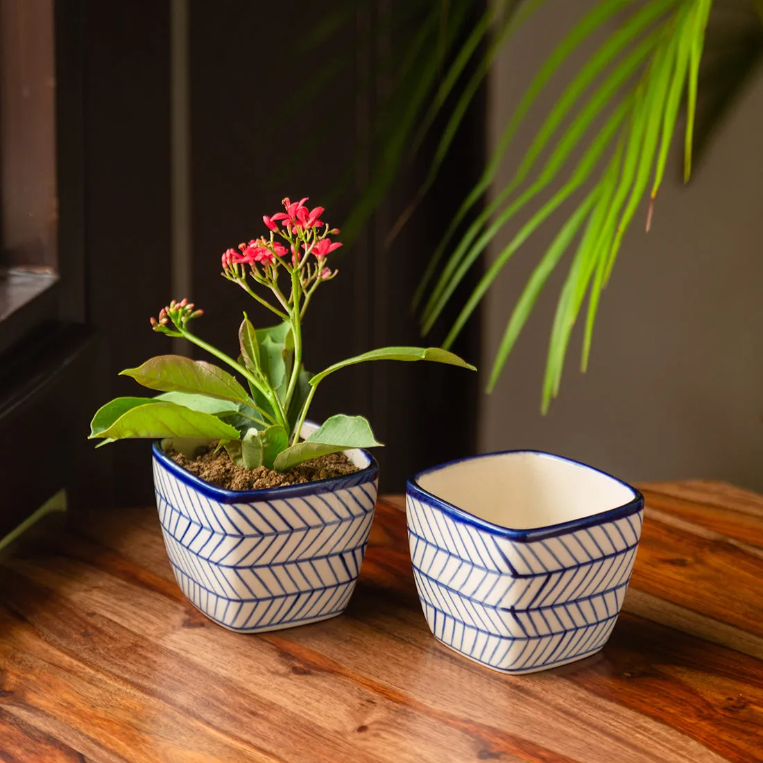 'Indigo Chevron Duo' Handpainted Ceramic Cuboidal Table Planter Pots (3.7 Inch, Set of 2)of 2)