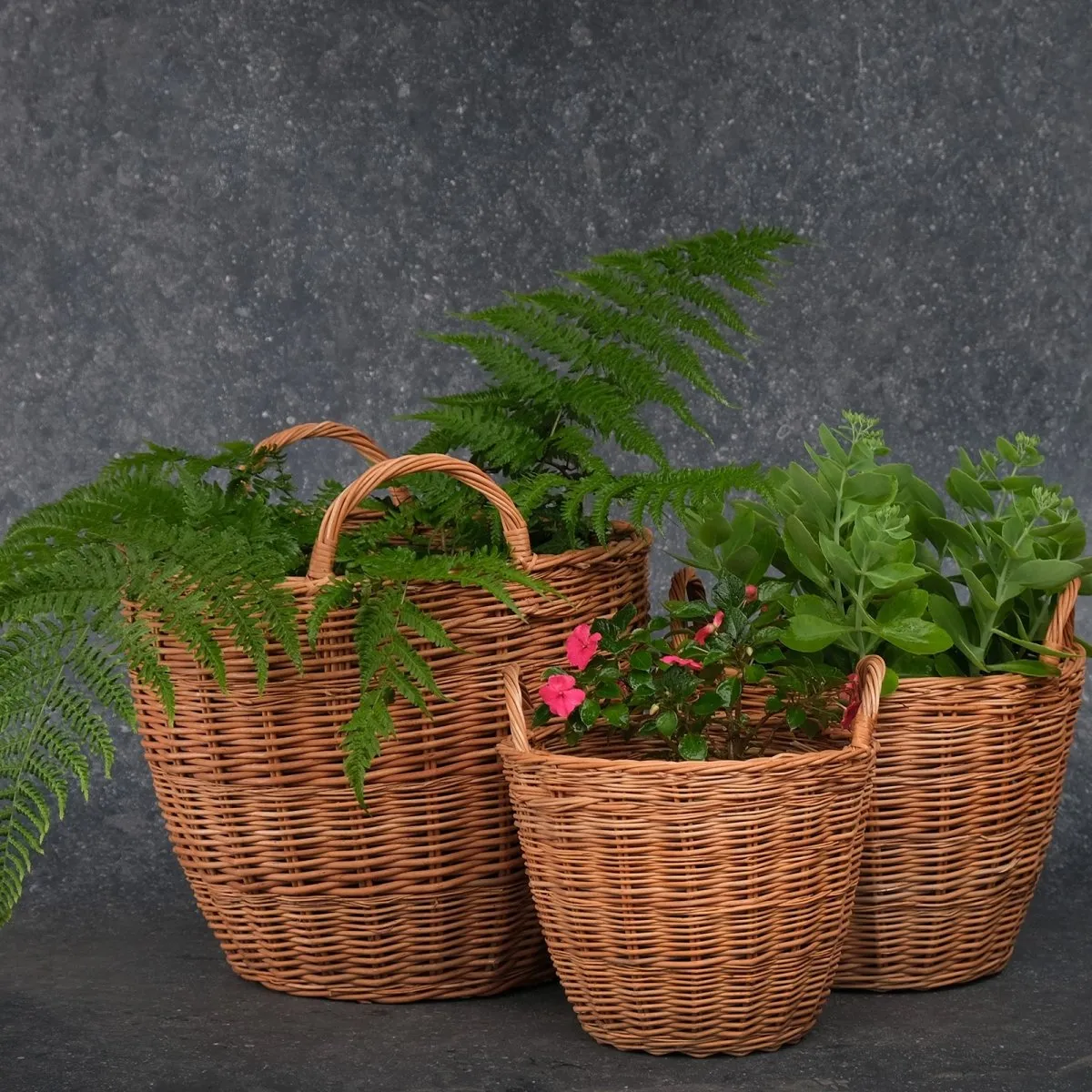 Indoor Planter Made of Wicker From Kashmir - Large