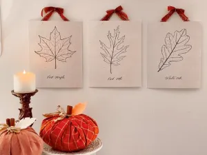 Leaf Sketch Prints