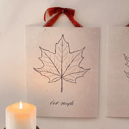 Leaf Sketch Prints