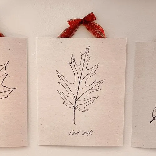 Leaf Sketch Prints