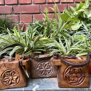 Mahira 2 : Wooden Container/ Planter