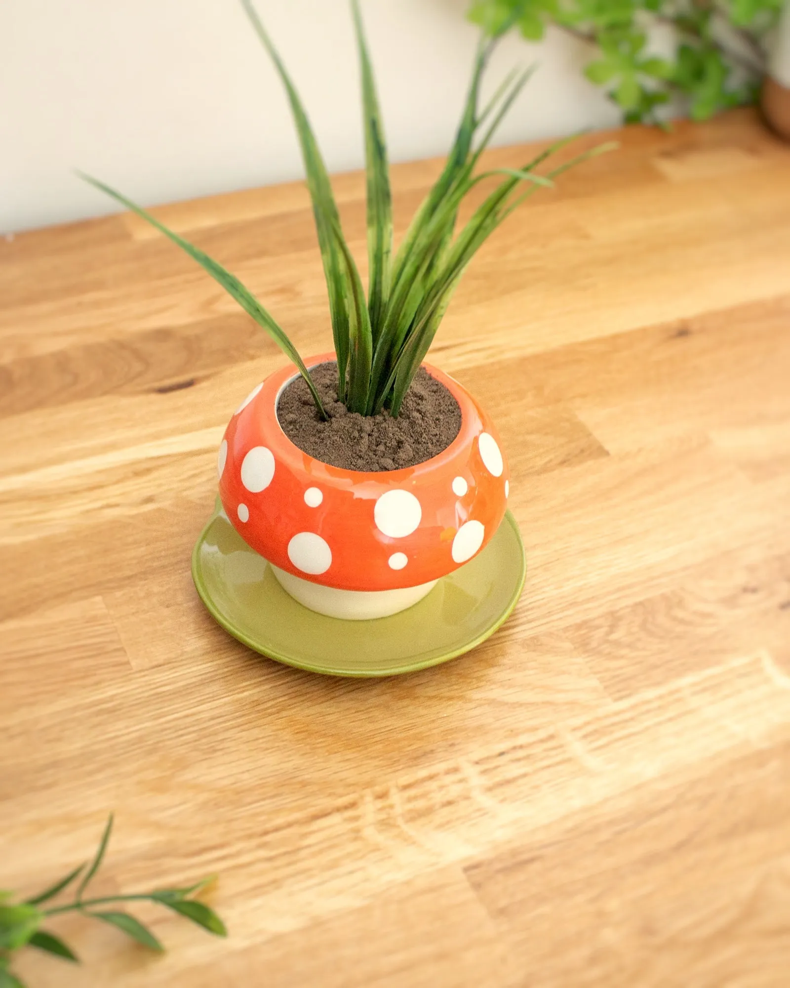 Mushroom planter