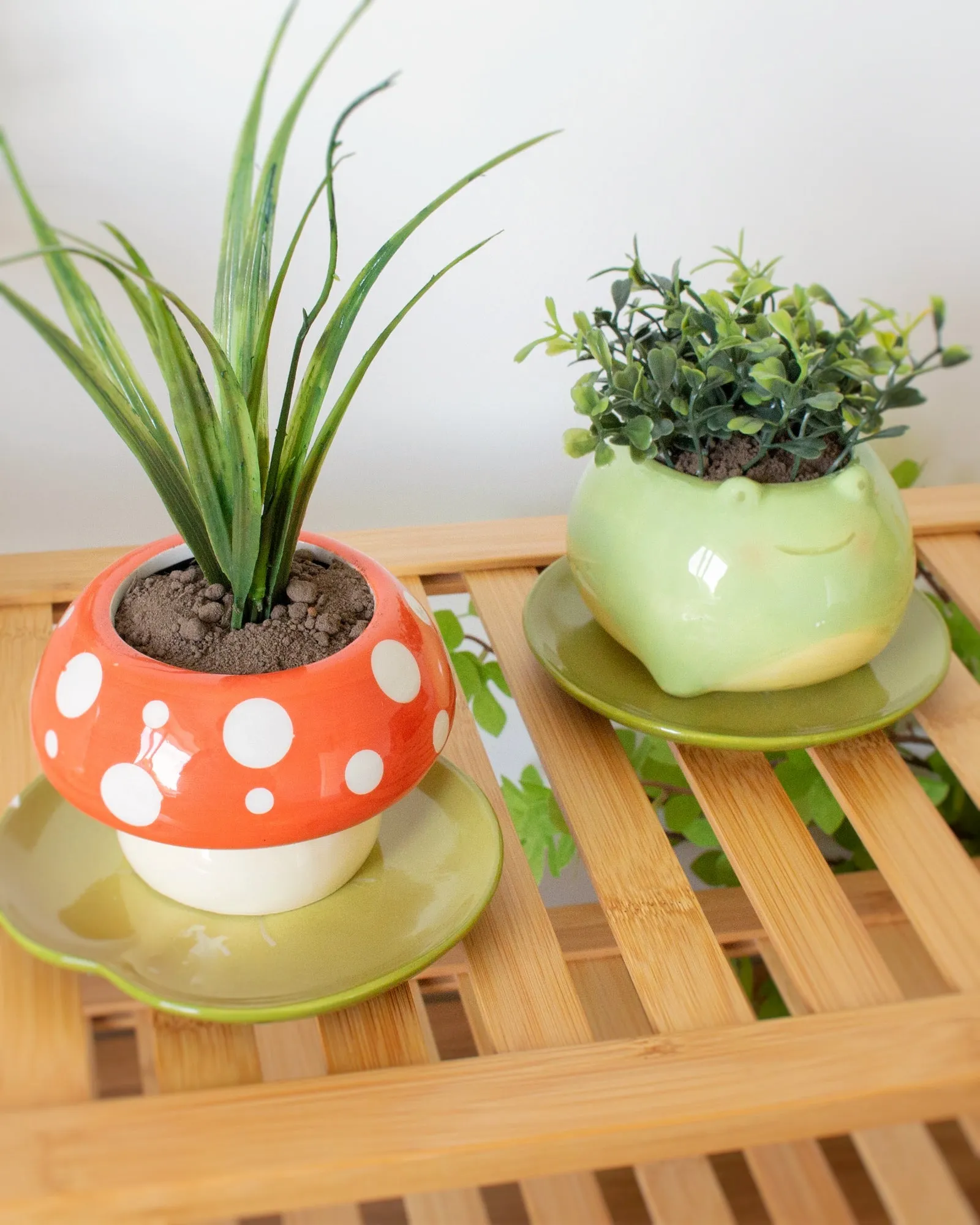 Mushroom planter