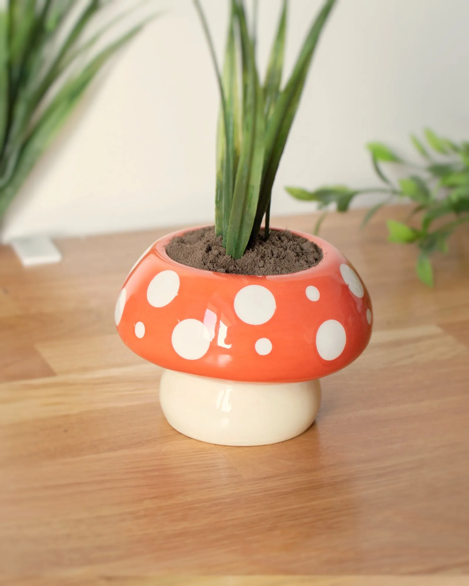 Mushroom planter