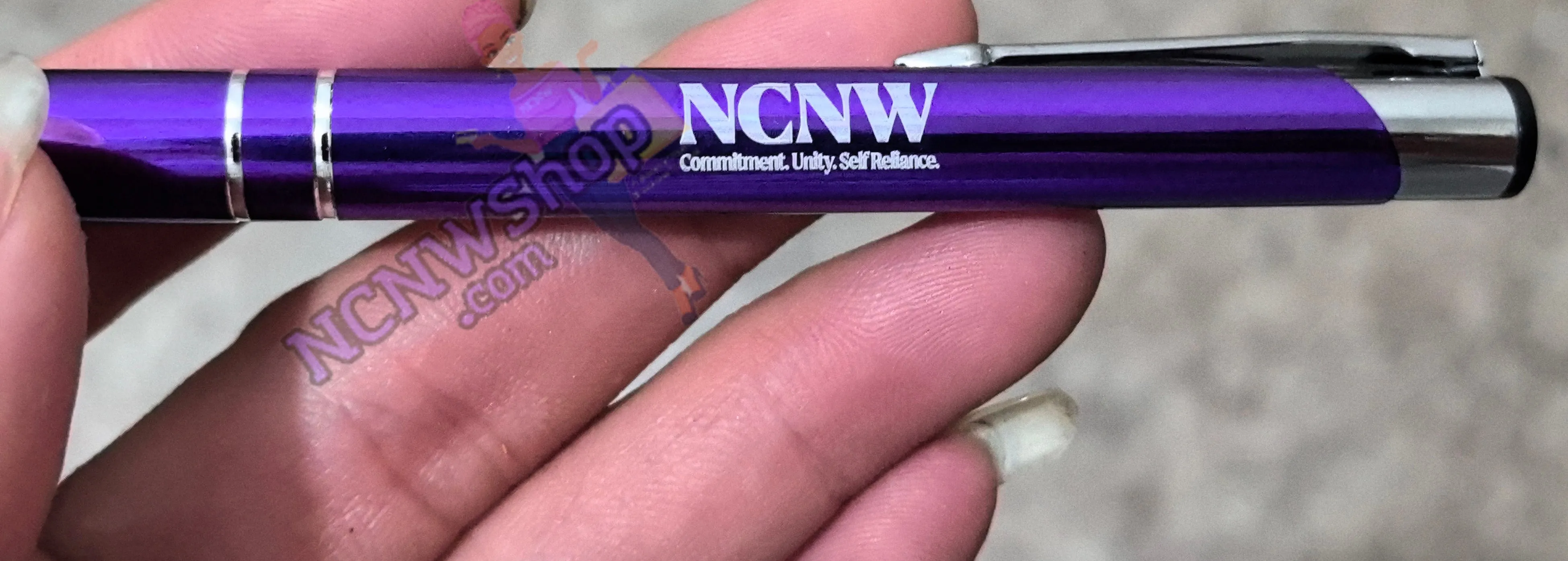 One dozen ink pens - NCNW Purple metallic