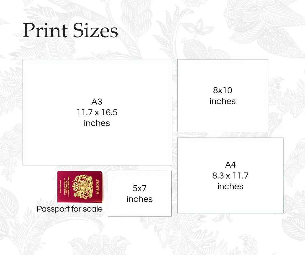 Personalised Elephant Family Portrait