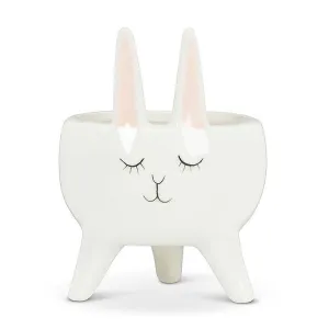 Planter | Rabbit on Legs