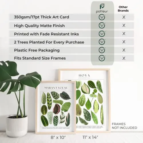 Potteur Plant Poster Set of 4 Wall Art UNFRAMED Green Plant Wall 11x14 Inch EDEN