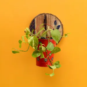 Red Bucket Metal Planter on a Round Wall Hook