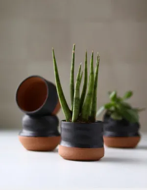 Tiny Planter | Black