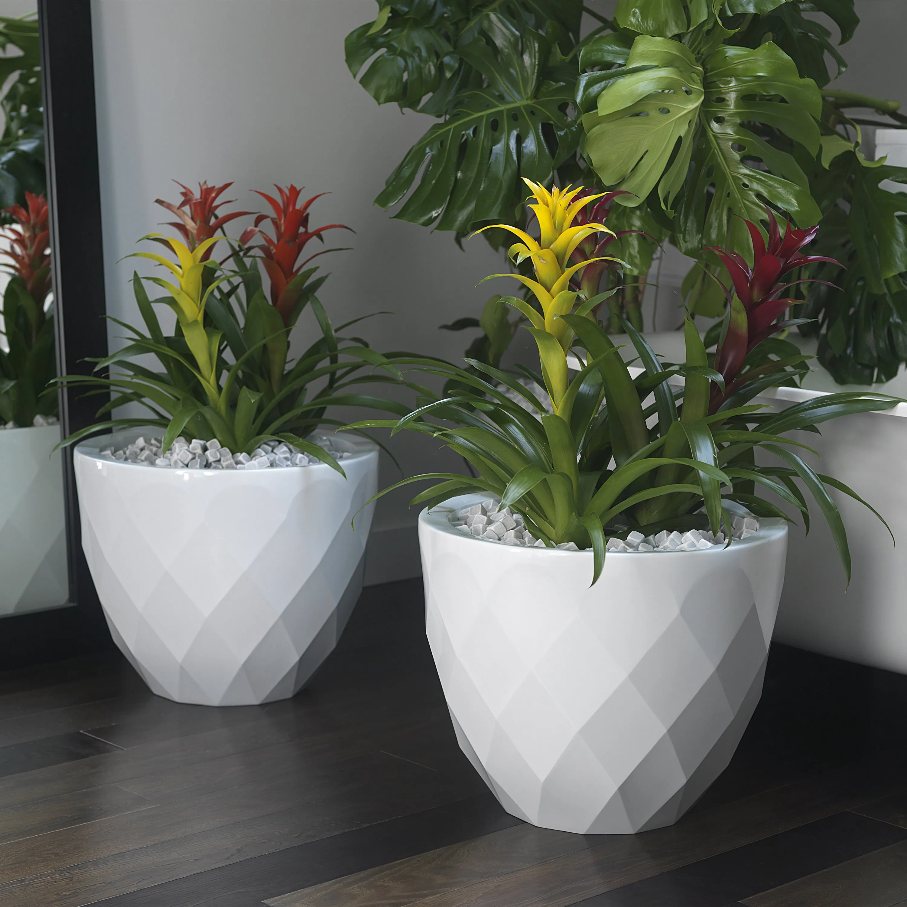 Vases Planter