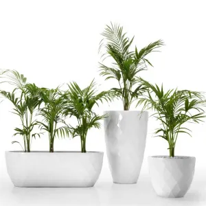 Vases Planter