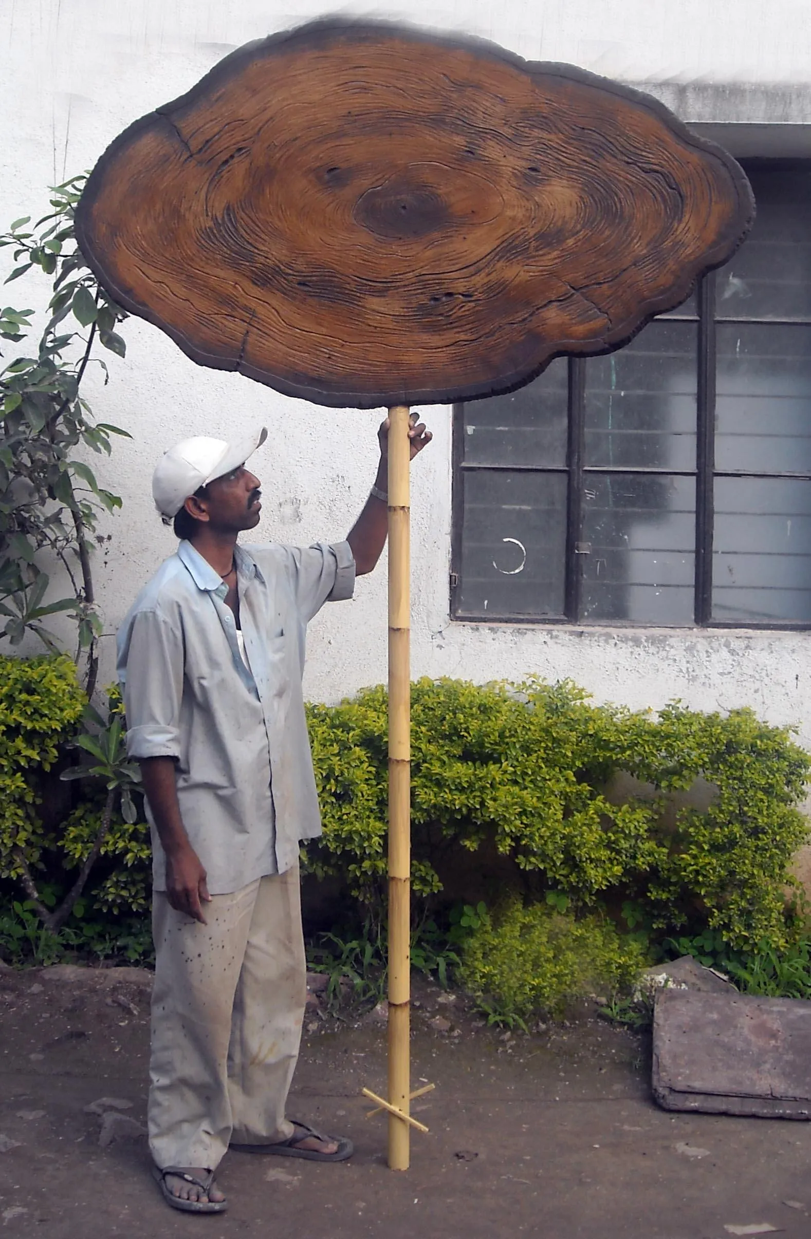 Wooden Display Board Big