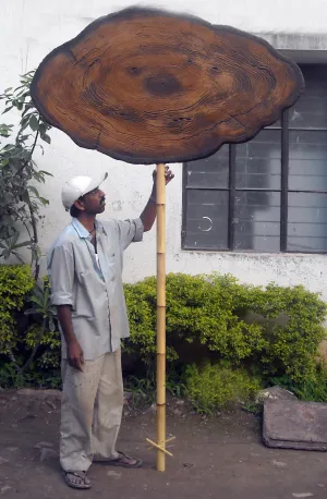 Wooden Display Board Big